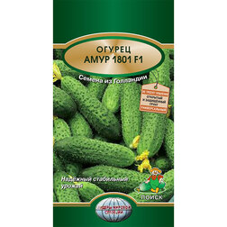 ������ ������ ������ ���� 1801 F1   ����