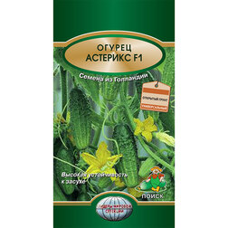 ������ ������ ������ �������� F1   ����