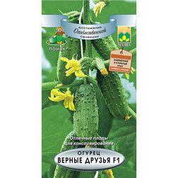 ������ ������ ������ ������ ������ F1   ����