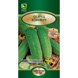 ������ ������ ������ ����� F1   ����