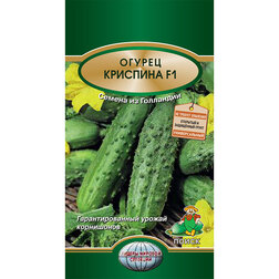 ������ ������ ������ �������� F1   ����