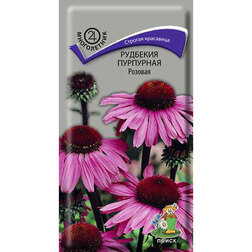 ������ ������ �������� ��������� �������   ����