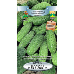 ������ ������ ������ ������� � ������� F1   ����