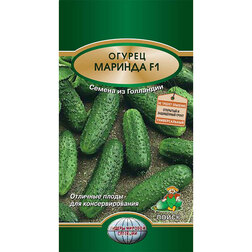 ������ ������ ������ ������� F1   ����