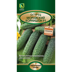 ������ ������ ������ ��������� �������� F1   ����