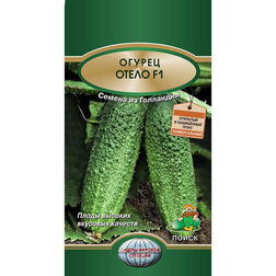 ������ ������ ������ ����� F1   ����