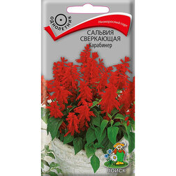 ������ ������ ������� ���������� ���������   ����