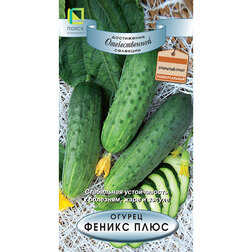 ������ ������ ������ ������ ����   ����