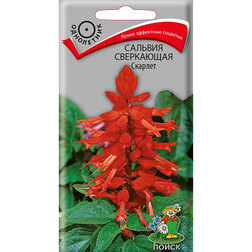 ������ ������ ������� ���������� �������   ����