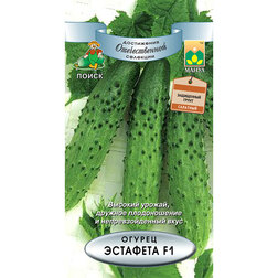 ������ ������ ������ �������� F1   ����