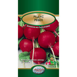 ������ ������ ����� �����   ����