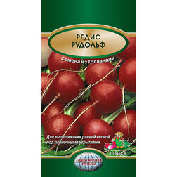 ������ ������ ����� �������   ����