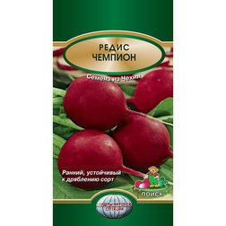 ������ ������ ����� �������   ����