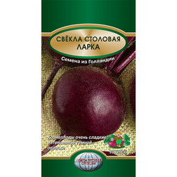 ������ ������ ������ �������� �����   ����