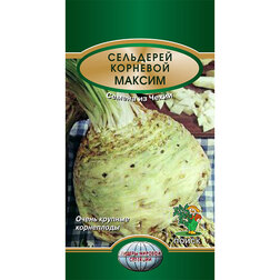 ������ ������ ��������� �������� ������   ����