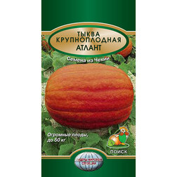 ������ ������ ����� ������������� ������   ����