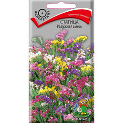 ������ ������ ������� �������� �����   ����