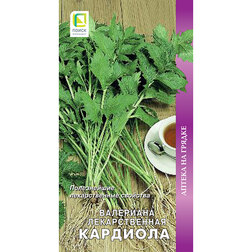 ������ ������ ��������� ������������� ��������   ����