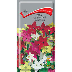 ������ ������ ����� �������� ��������   ����