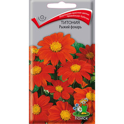 ������ ������ ������� ����� ������   ����