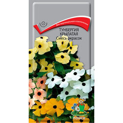 ������ ������ ��������� �������� ����� �������   ����