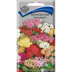 ������ ������ ������������� ����� �������   ����