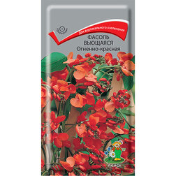 ������ ������ ������ �������� �������-�������   ����