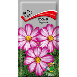 ������ ������ ������ ��������   ����