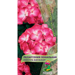 ������ ������ ���������� ��������� ������ �������   ����