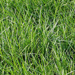 ������ ������ �������� ������������ ����� (1��-100��)   ����