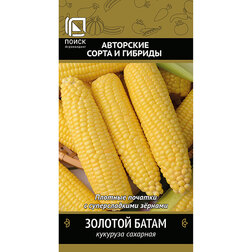 ������ ������ �������� �������� ������� �����   ����