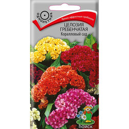 ������ ������ ������� ����������� ���������� ���   ����