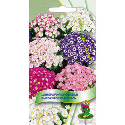 ������ ������ ��������� �������� ������������ �����   ����