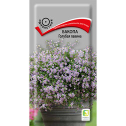 ������ ������ ������ ������� ������   ����