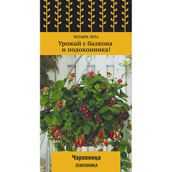 ������ ������ ��������� ��������� (������ ����)   ����