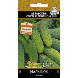 ������ ������ ������ �������   ����