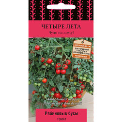 ������ ������ ����� ��������� ���� (������ ����)   ����