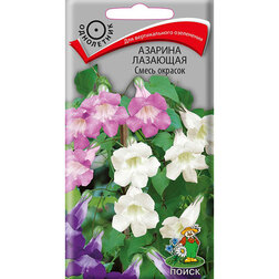 ������ ������ ������� �������� ����� �������   ����