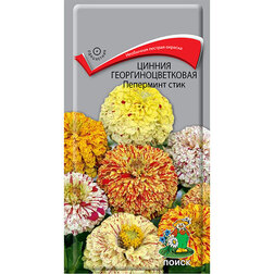 ������ ������ ������ ����������������� ��������� ����   ����