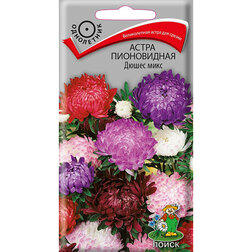 ������ ������ ����� ����������� ����� ����   ����