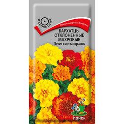 ������ ������ �������� ����������� �������� ����� ����� �������   ����