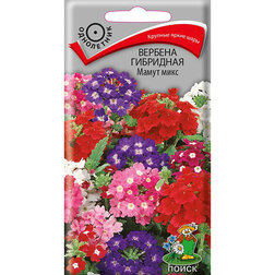 ������ ������ ������� ��������� ����� ����   ����