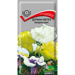 ������ ������ ������ ����� �������� ����   ����