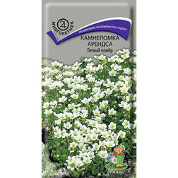 ������ ������ ���������� ������� ����� ����   ����