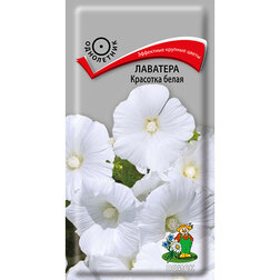 ������ ������ �������� �������� �����   ����