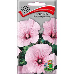 ������ ������ �������� �������� �������   ����