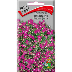 ������ ������ ������� ��������� ������� ������   ����