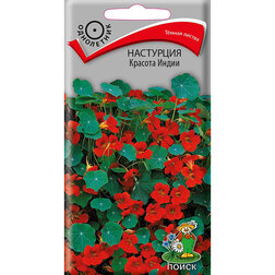 ������ ������ ��������� ������� �����   ����