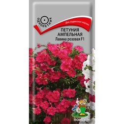 ������ ������ ������� ��������� ������ ������� F1   ����