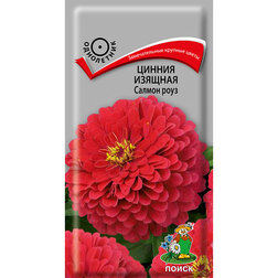 ������ ������ ������ ������� ������ ����   ����